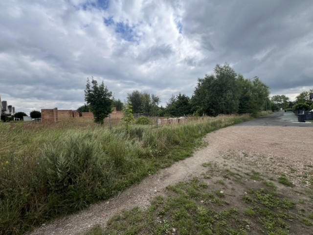 Działka Psarskie  ul. Kalinowa
