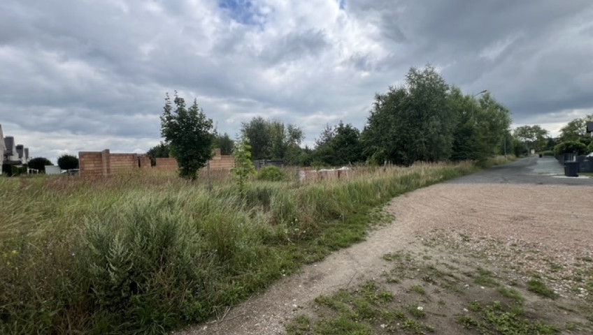 Działka Sprzedaż Psarskie Kalinowa